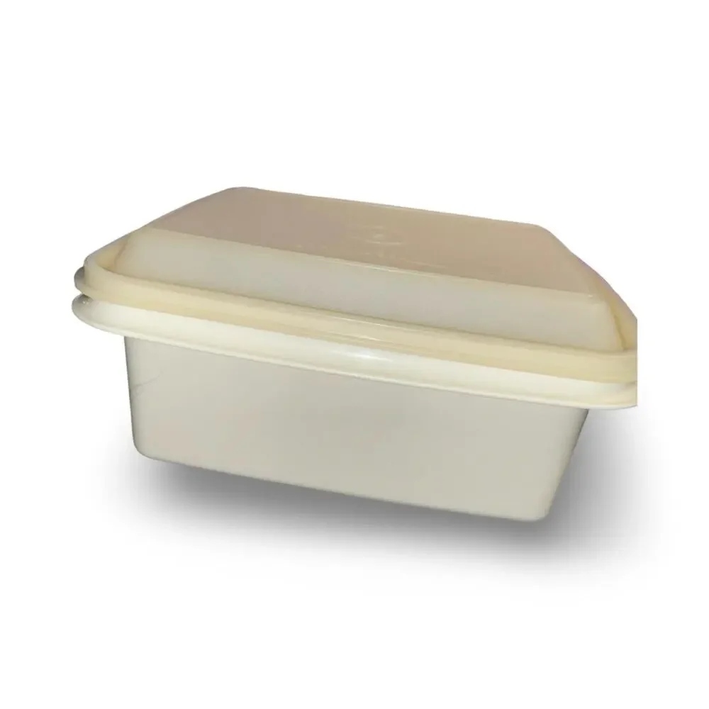 Tupperware Freeze N Save Ice Cream Container Almond Base 125 VTG4 Sheer Lid 1255